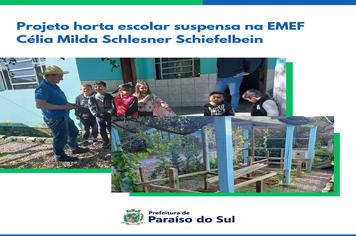Projeto horta escolar suspensa na EMEF Célia Milda Schlesner Schiefelbein