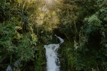 Foto - Imagens de Paraíso do Sul