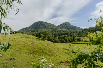 Foto - Imagens de Paraíso do Sul