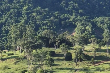 Foto - Imagens de Paraíso do Sul