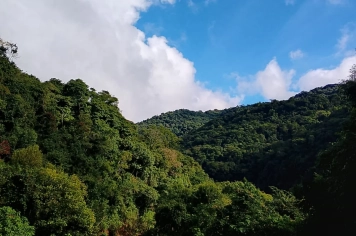 Foto relacionada - Caminhada Internacional na Natureza destaca potencial turístico, cultural e rural de Paraíso do Sul