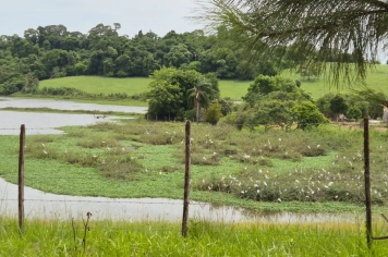 Foto - Imagens de Paraíso do Sul