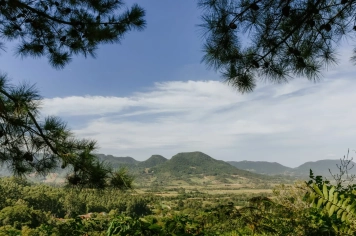 Foto - Imagens de Paraíso do Sul
