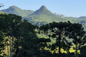 Foto - Imagens de Paraíso do Sul