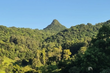 Foto - Imagens de Paraíso do Sul