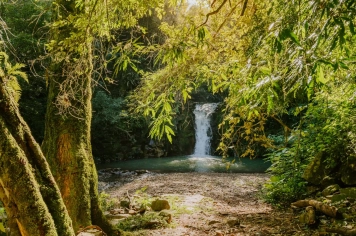 Foto - Imagens de Paraíso do Sul