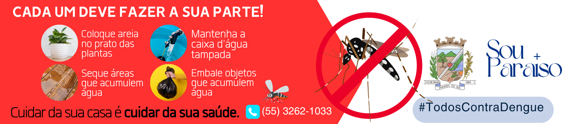 Todos contra a Dengue 