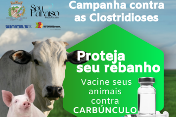 Secretaria da Agricultura e Emater lançam campanha de vacinação contra carbúnculo e raiva em animais 