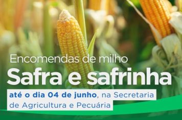 Prorrogado as encomendas de milho safra e safrinha (até o dia 04 de junho)