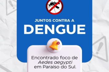Juntos contra a dengue: encontrado foco de Aedes aegypti em Paraíso do Sul