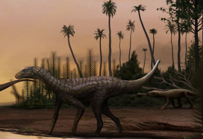 Fóssil de precursor dos dinossauros é encontrado em Paraíso do Sul