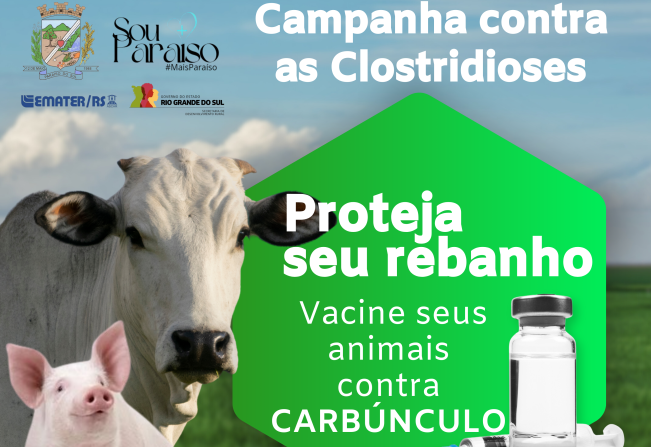 Secretaria da Agricultura e Emater lançam campanha de vacinação contra carbúnculo e raiva em animais 